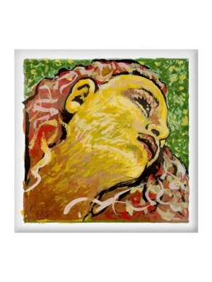 Pirastro EVAH PIRAZZI NEO (E gold) violin 31B121 Zlevněný