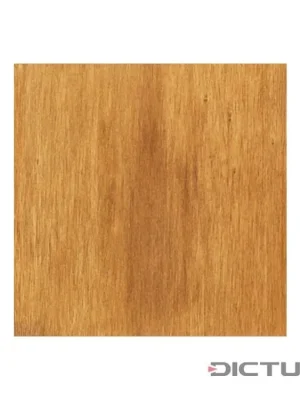 Dictum 810191 - DICTUM Spirit Stain, 250 ml, Light Oak Top Prodej