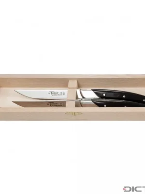 Top Prodej Steakové nože Dictum 719992 - Le Thiers Art Deco Steak and Table Knives, 2-Piece Set
