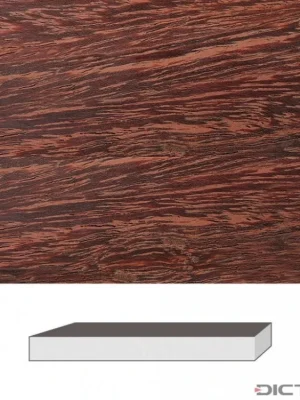 Omezená Nabídka Dictum 831757 - Camel Thorn, 300 x 38 x 38 mm