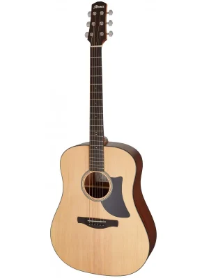 Ibanez AAD50-LG Ihned K Objednání