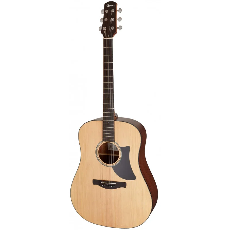 Ibanez AAD50-LG Ihned K Objednání