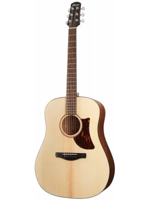 Nejprodávanější Ibanez AAD100-OPN