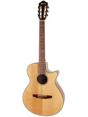 Ibanez AEG50N-NT Omezená Nabídka