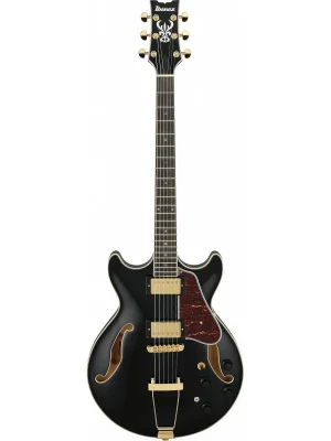 Ibanez AMH90-BK Objednat Nyní