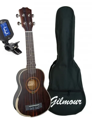 Oblíbený AW Ukulele Set 2