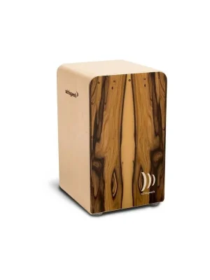 SCHLAGWERK CP605 Nakupujte Hned