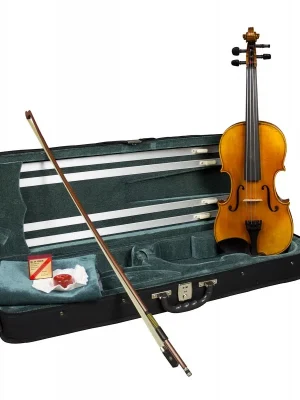 Odeslání Ihned Hidersine Violin Venezia Antique Finish ¾