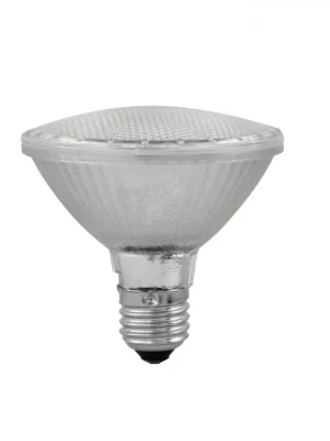 Nejlepší Cena Omnilux PAR 30 230V SMD 6W E27 LED 6500K