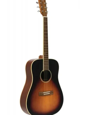 James Neligan EZR-D, akustická kytara typu Drednought Akční Nabídka