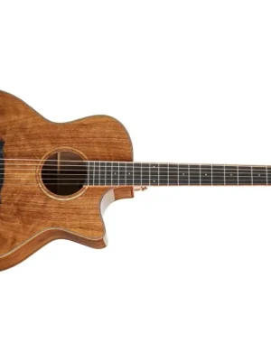 Elektroakustická kytara TANGLEWOOD TW4 E VC BW Originální