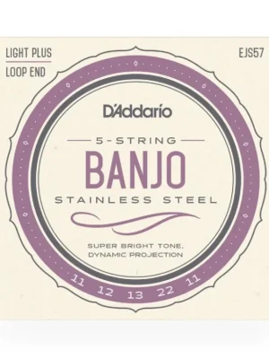 D'Addario EJS57 5-String Banjo Strings, Stainless Steel, Custom Medium, 11-22 Must-Have