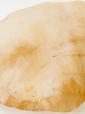 MEINL Percussion - HEAD FOR DJEMBEFOLAHEAD-116 Omezená Nabídka