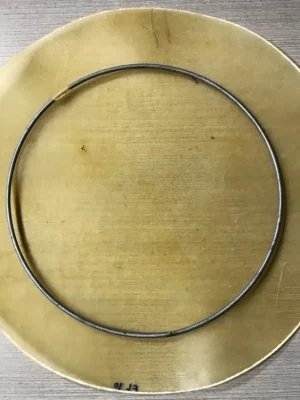 Novinka TAMA - HEAD 10" BUFFALO TS-F-07