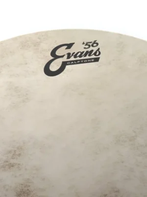 Evans Calftone Tom Batter, 10 Inch Levný