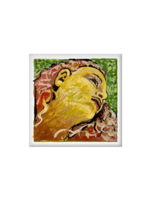 Pirastro EVAH PIRAZZI NEO set violin 41B021 Aktuální