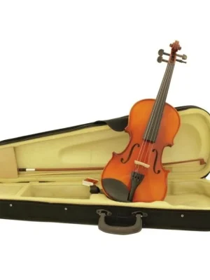 Koupit Online housle 4/4 s pouzdrem