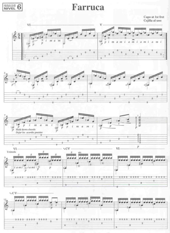 Značkový Solos Flamencos Guitar with Juan Martín 2 + Online Audio/Video / kytara + tabulatura