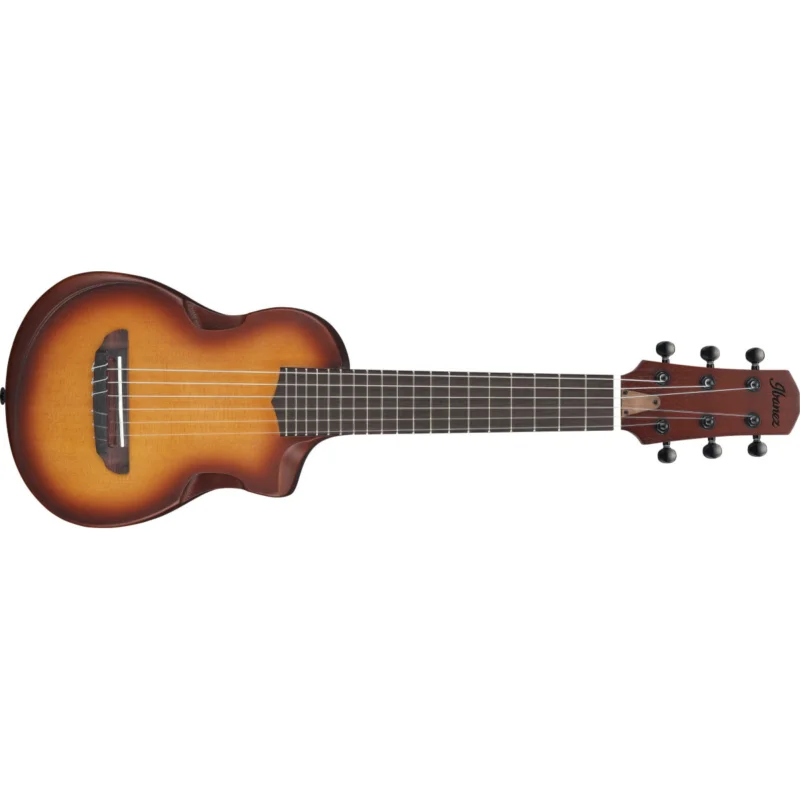 Vrácení Zdarma IBANEZ AUP10N-OLB - Open Pore Light Brown Sunburst