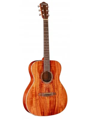 Super Cena Rathbone R2K akustická kytara