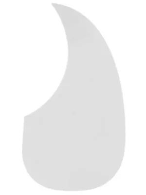 Akční Nabídka Pickguard FZoneFGP01 Transparentní