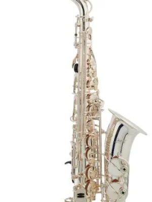 Must-Have Bacio Instruments BAS-100SG