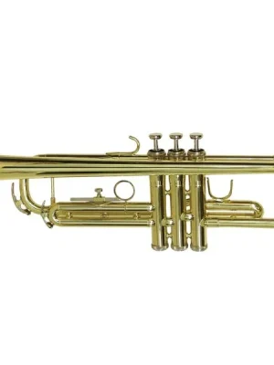 Oblíbený Dimavery TP-10, B trubka perinetová