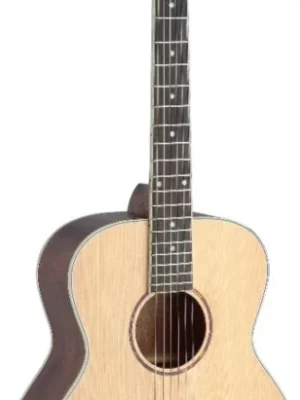 James Neligan ASY-A MINI, akustická kytara typu mini Auditorium Finální Výprodej