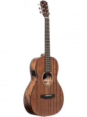 Speciální Cena James Neligan DOV-PFI, elektroakustická kytara typu Parlor