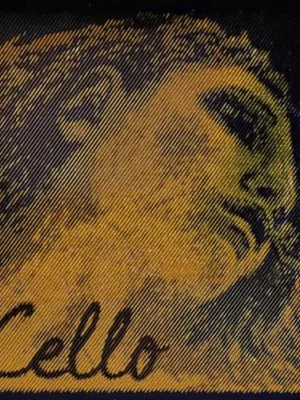 Oblíbený Pirastro Evah Pirazzi Gold P335020