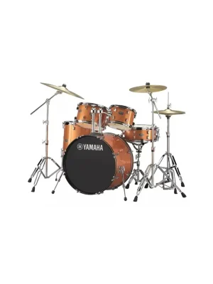 Sezónní Sleva Yamaha RDP 2F5 ORG CPSET Rydeen - prodloužená záruka 3 rok