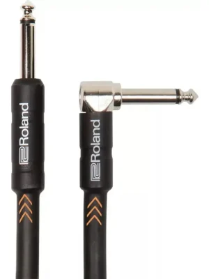 Koupit Online Roland RIC-B10A