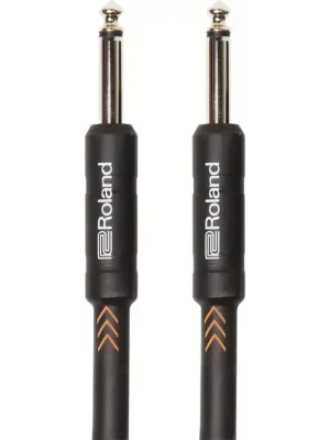 Pouze Dnes Roland RIC-B5