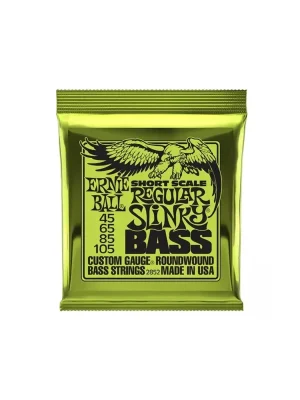 Akce Ernie Ball 2852