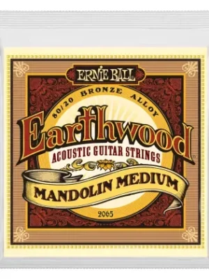 Aktuální Struny pro mandolínu Ernie Ball EB 2065 - 10/36