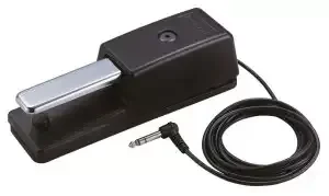 Nejlepší Volba Sustain pedál Roland DP-10