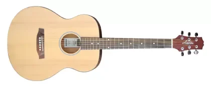 Expresní Doručení Akustická kytara Ashton JJR20 NTM