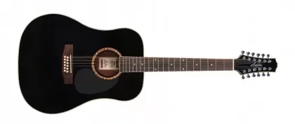 Cenově Výhodný 12strunná kytara Ashton D25/12 BK