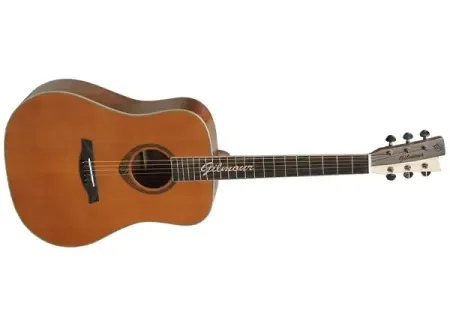 Akustická kytara Gilmour Woody WN Vysoce Kvalitní