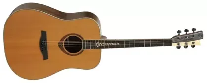 Akustická kytara Gilmour Woody NT Poslední Šance