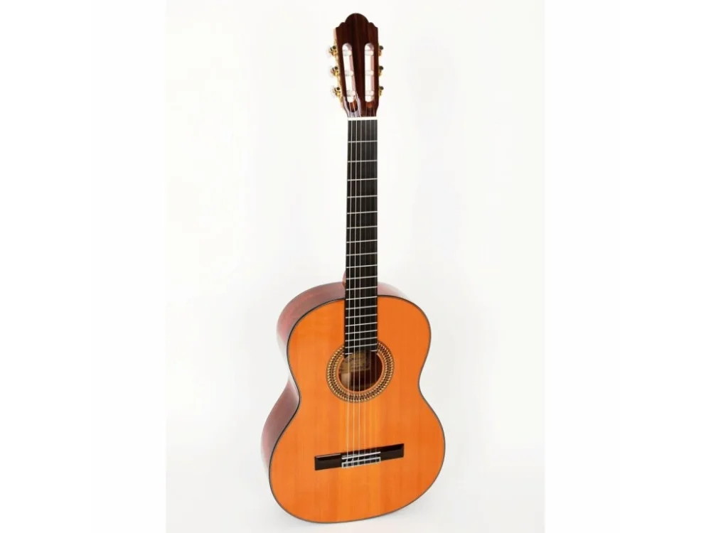 Nakupujte Hned Pablo Vitaso VCG-40Cvel. 4/4 klasická kytara