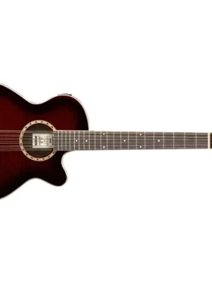 Časově Omezené Ashton SL29/12CEQ WRS kytara 12-strunná elektroakustická