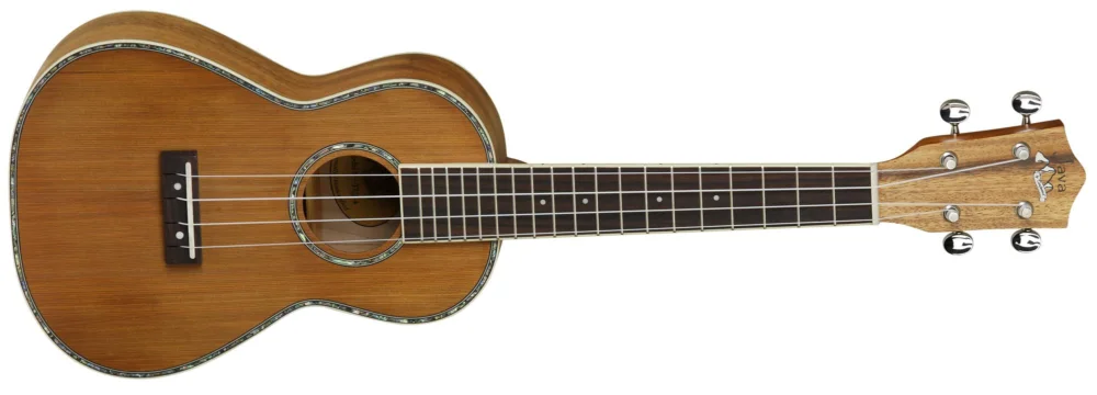 Zlevněný Tanglewood TUJ3