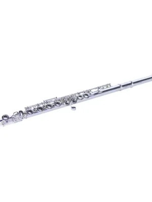 Dimavery QP-10 C flétna příčná, postříbřená, předsunutá G klapka, Originální