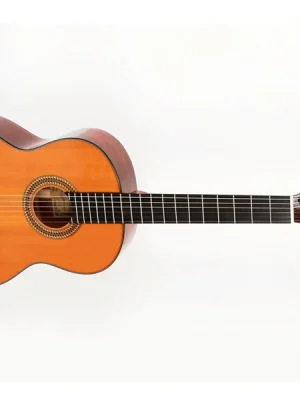 Pablo Vitaso VCG-40C Senorita 7/8 Top Prodej