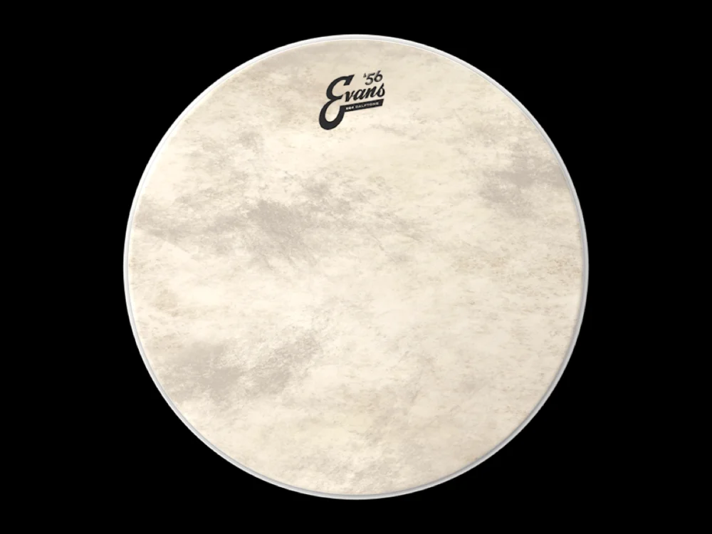 EVANS EQ4 CALFTONE 56 16" pro floor tom Poslední Šance