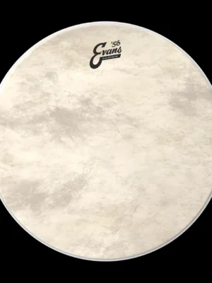 Aktuální EVANS G1 CALFTONE 56 13"