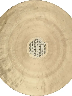 Aktuální MEINL Sonic Energy 1B-WGFOL20 Wind Gong 20" (FOL)