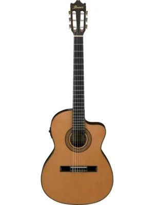 Akční Cena Ibanez GA5TCE-AM