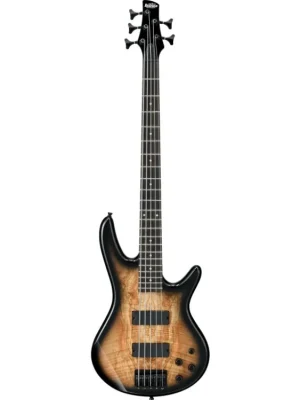Nízká Cena Ibanez GSR205SM-NGT